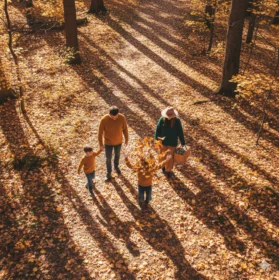 Photo générée par une IA représentant une famille qui se balade en forêt vu du dessus