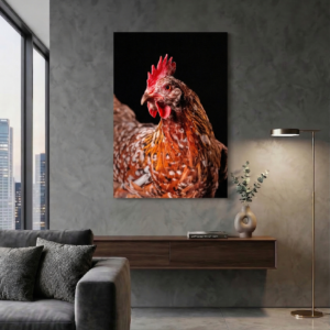 Impression Chromaluxe (60x40 cm sans cadre)