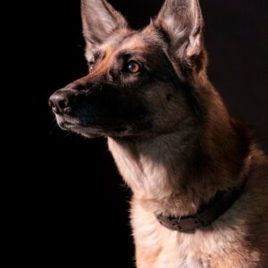 Forfait Premium - 15 photos